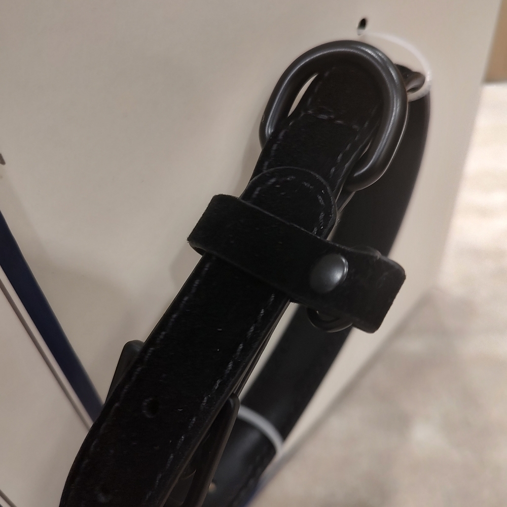Small black dog collar